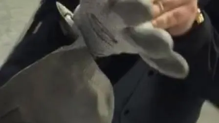 Cut Resistant Protective Safety Work Working Labor Glove with TPR Foam Nitrile 